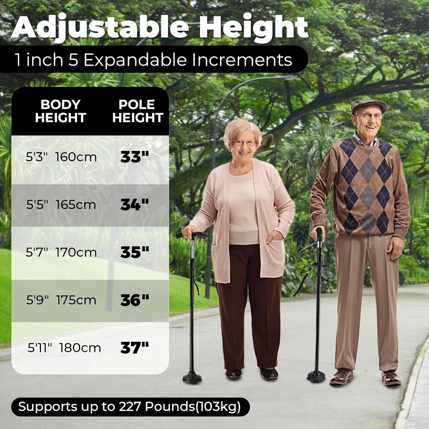 Folding cane with LED light